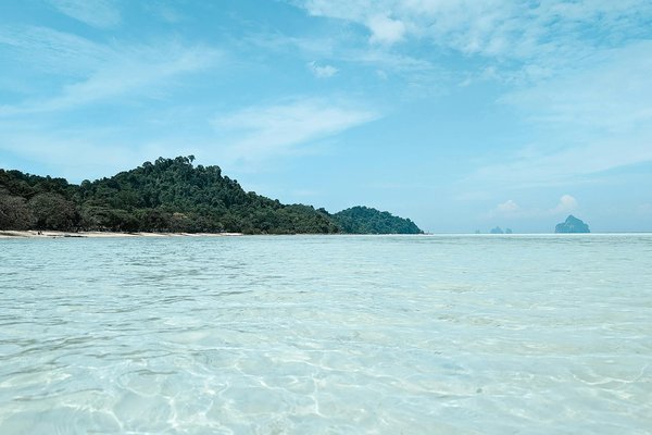 Discovering and Reserving UK Campsites with Exciting Horse Riding Adventures