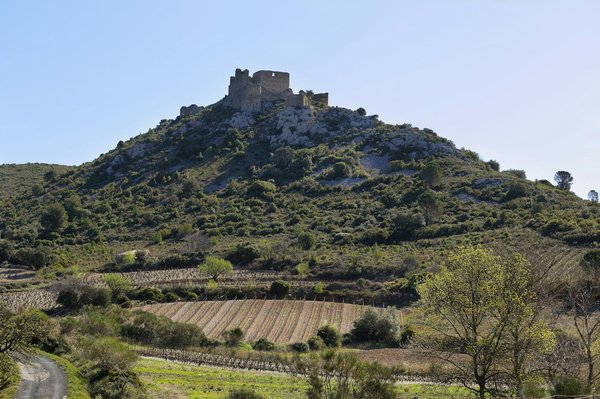 Discover Affordable Ways to Uncover the Rich History of Canterbury